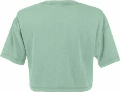 Cropped T-Shirt Aus Biobaumwolle - Stone Sage -Grundstoff Verkaufsladen Cropped Shirt hellgruen stone washed EP26 SSAG Bio Baumwolle rueckansicht 1280x1280