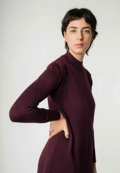 Mela Fairtrade Feinstrick-Kleid Harleen Aus Bio-Baumwolle - Rosine -Grundstoff Verkaufsladen Fairtrade Strickkleid Stehkragen Ziernaht harleen rai 1280x1280