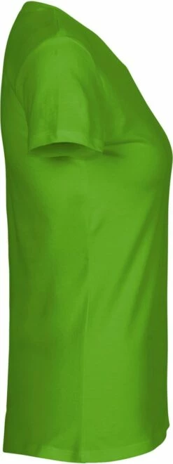 Neutral Fitted T-Shirt Aus Fairtrade Bio-Baumwolle - Lime 8 Neutral Fitted T-Shirt Aus Fairtrade Bio-Baumwolle - Lime -Grundstoff Verkaufsladen O81001 tailliertes T Shirt fuer Damen von Neutral side 1280x1280